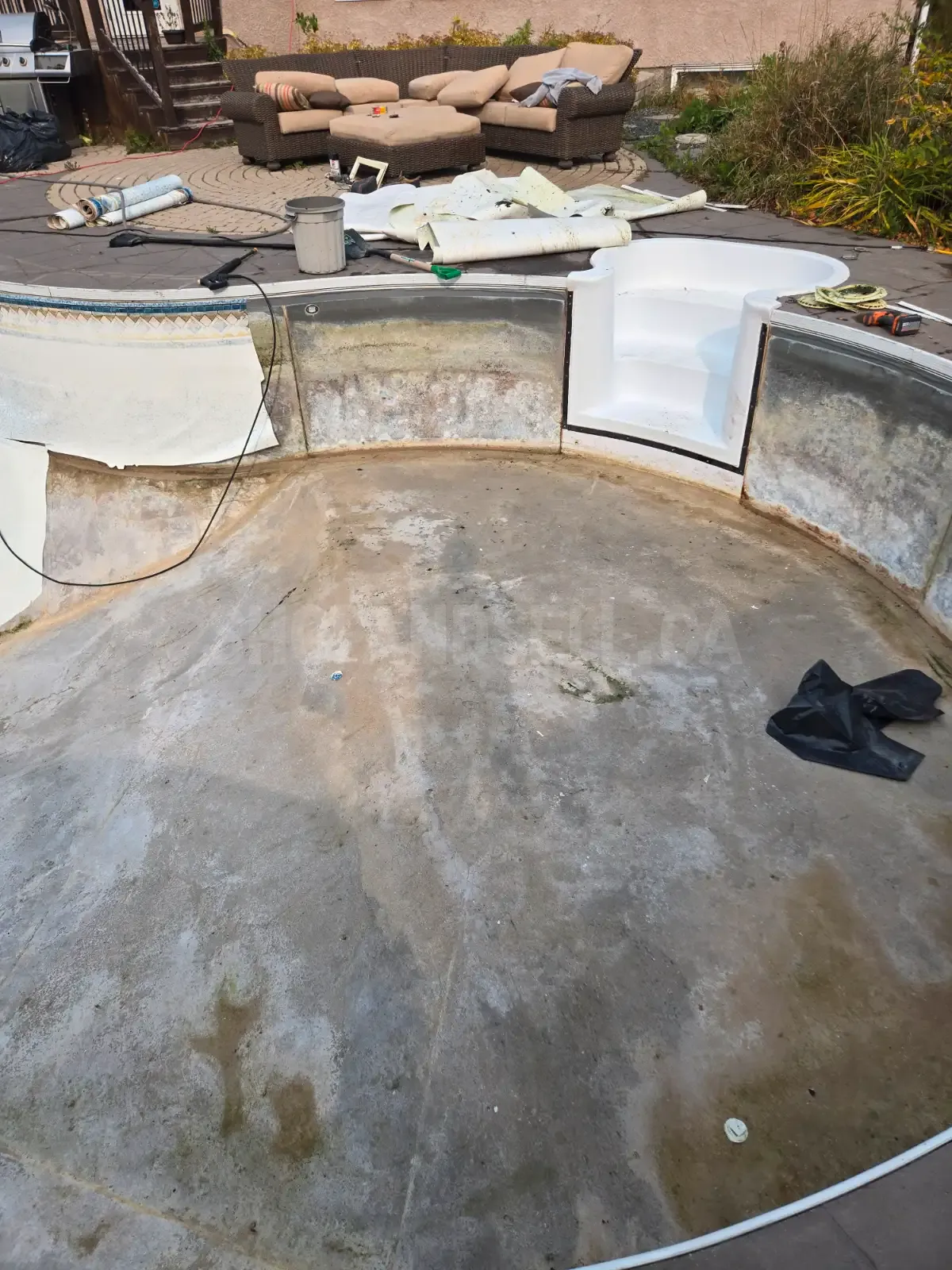 TLC Swimming Pool Services: Expert Pool Maintenance & Repair Solutions