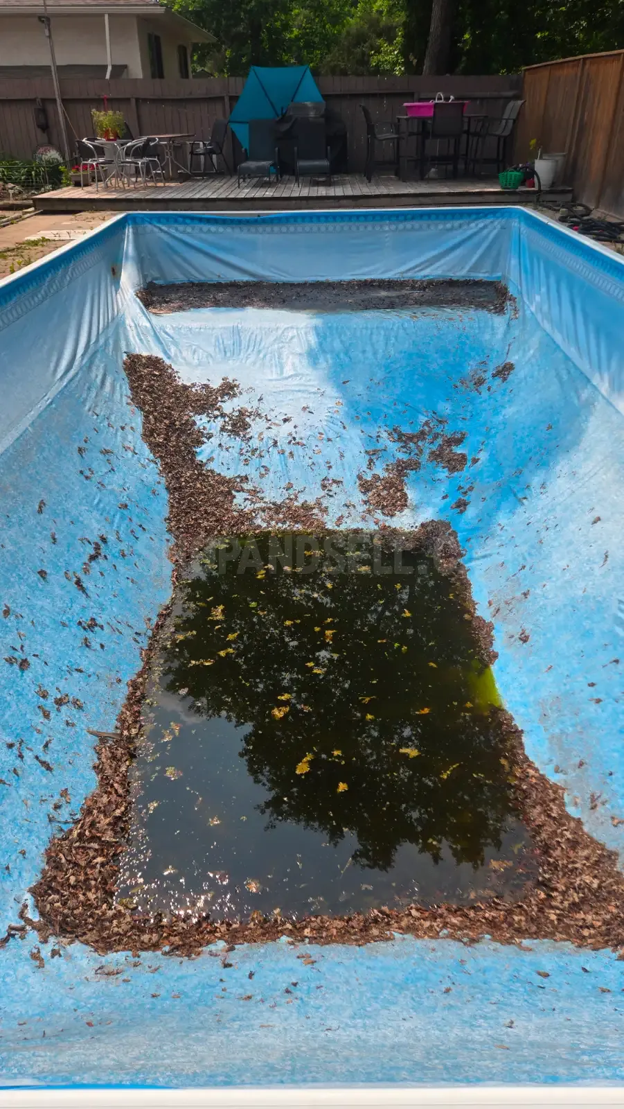 TLC Swimming Pool Services: Expert Pool Maintenance & Repair Solutions