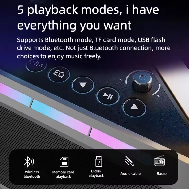 Portable Bluetooth Karaoke Speaker with 2 Wireless Microphones