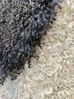 Premium curly Gotland Sheepskins