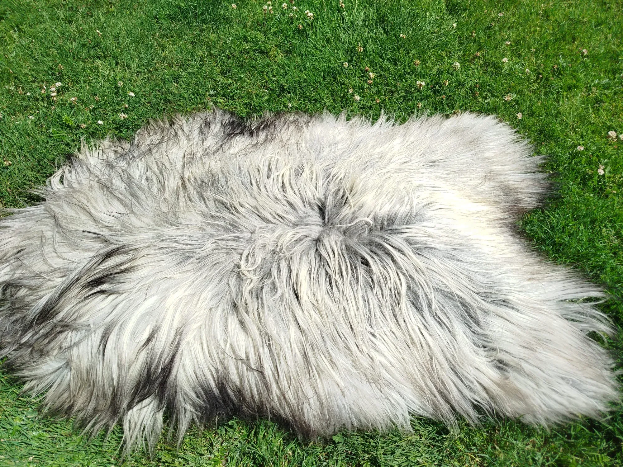 Heidschnucke Premium Sheepskins