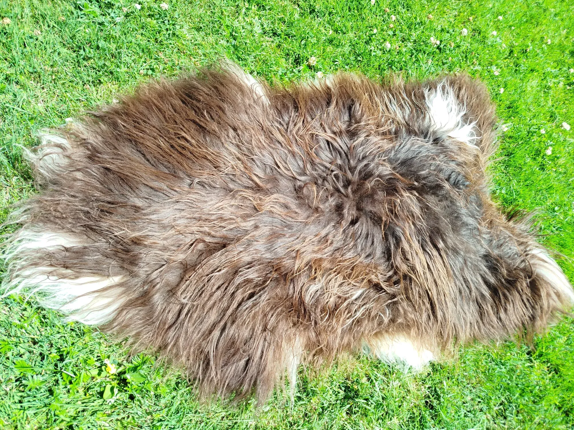 Heidschnucke Premium Sheepskins