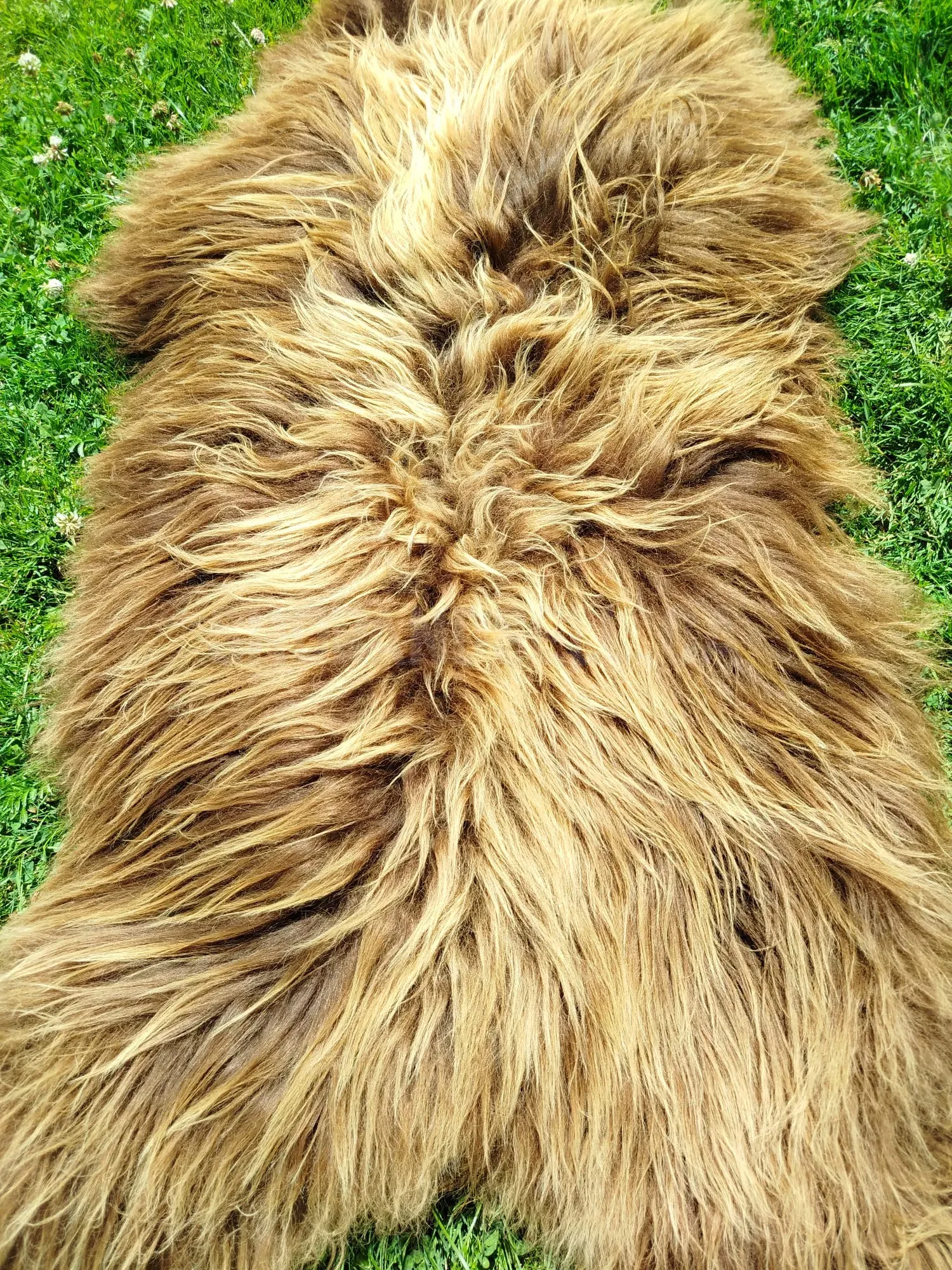 Heidschnucke Premium Sheepskins