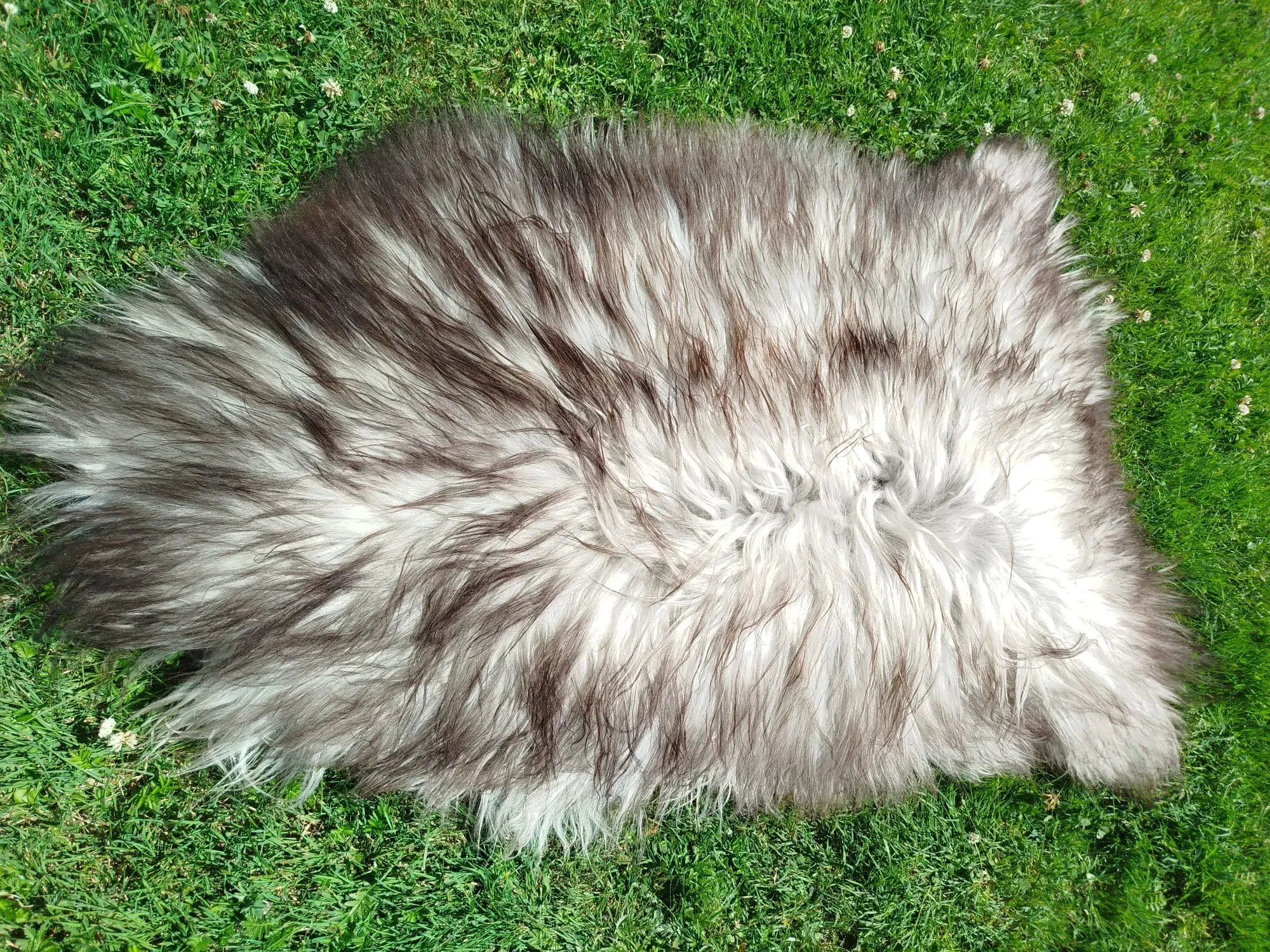 Heidschnucke Premium Sheepskins