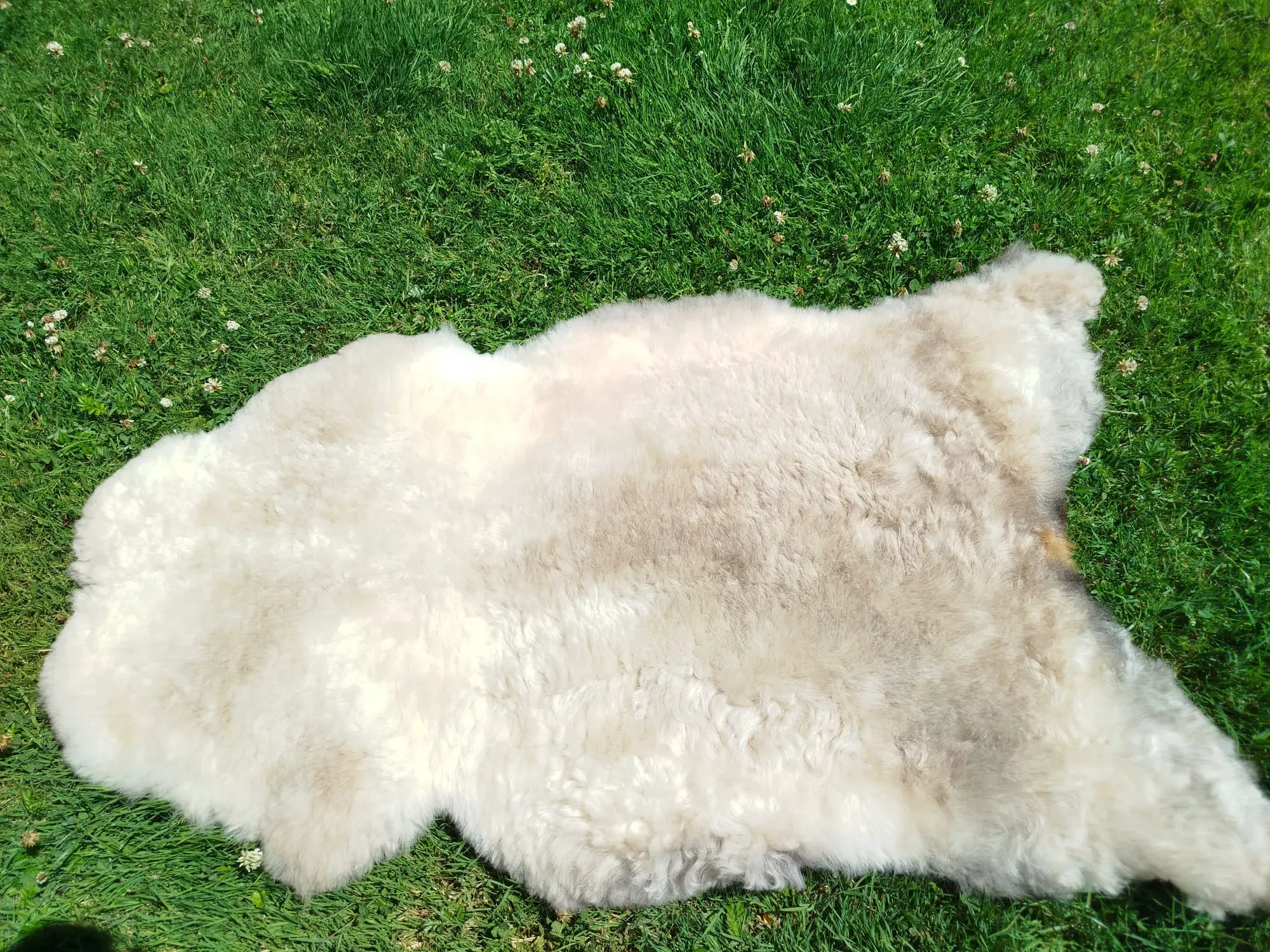Premium Swedish Sheepskins