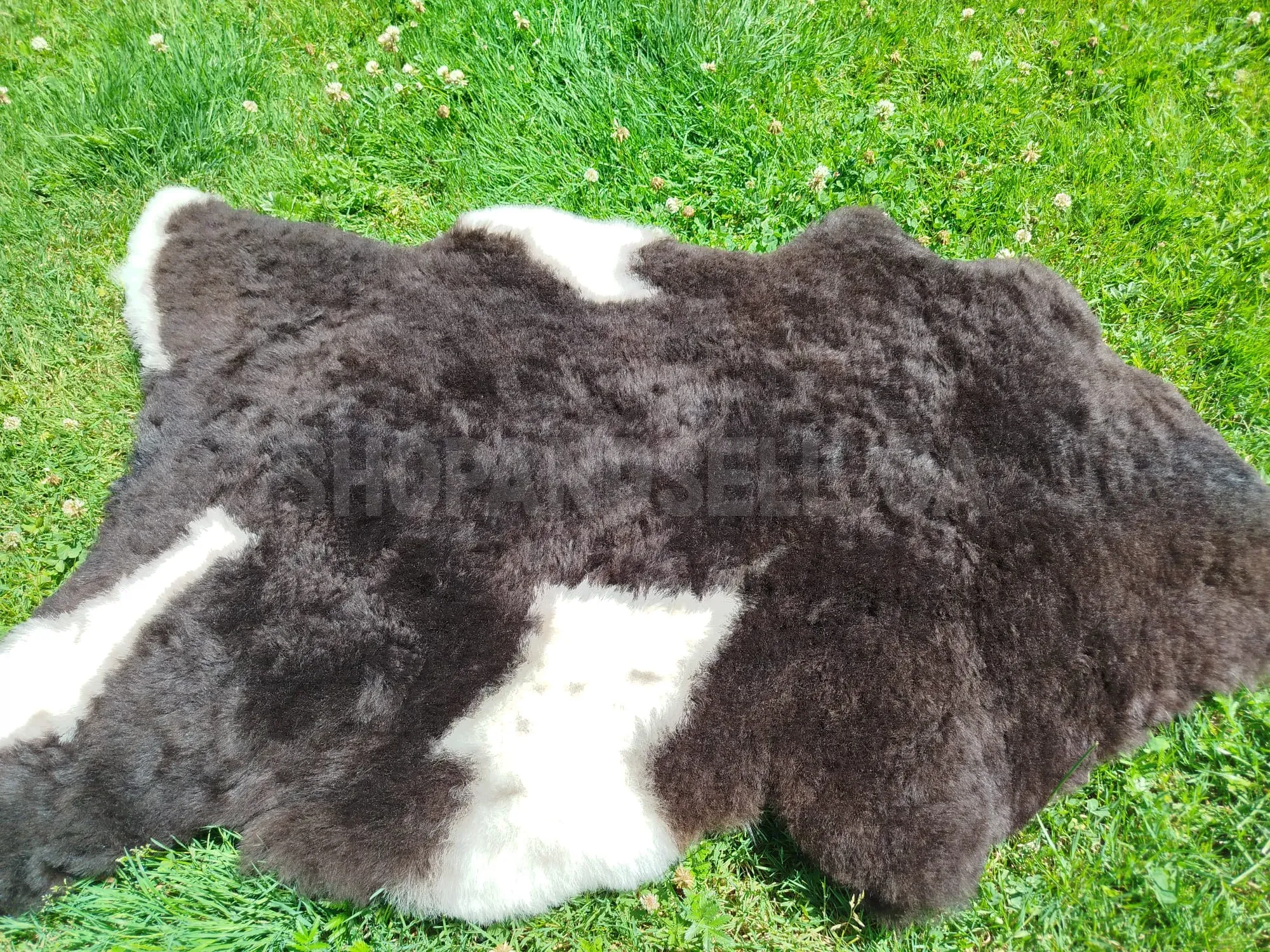 Premium Swedish Sheepskins