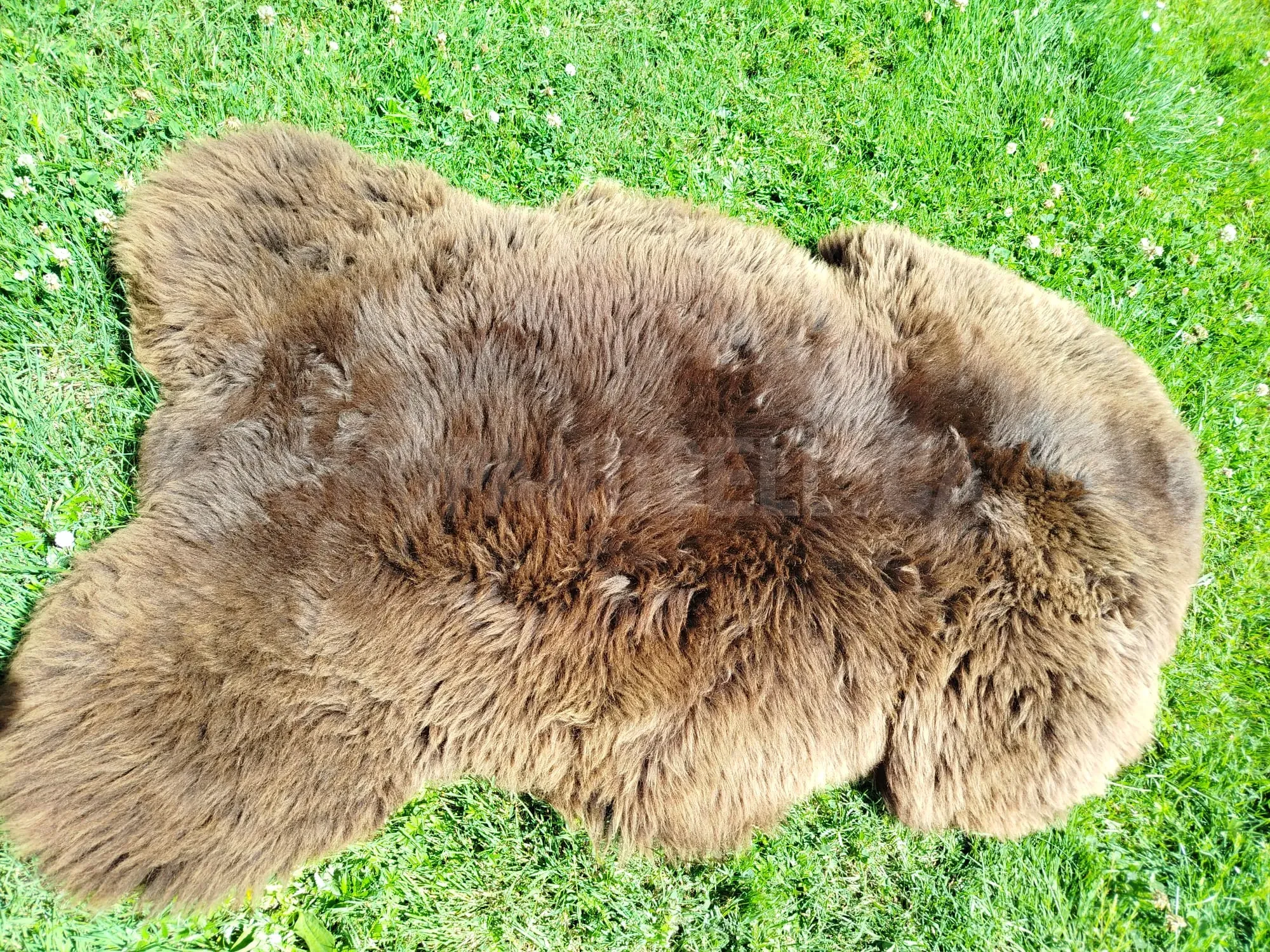 Premium Swedish Sheepskins