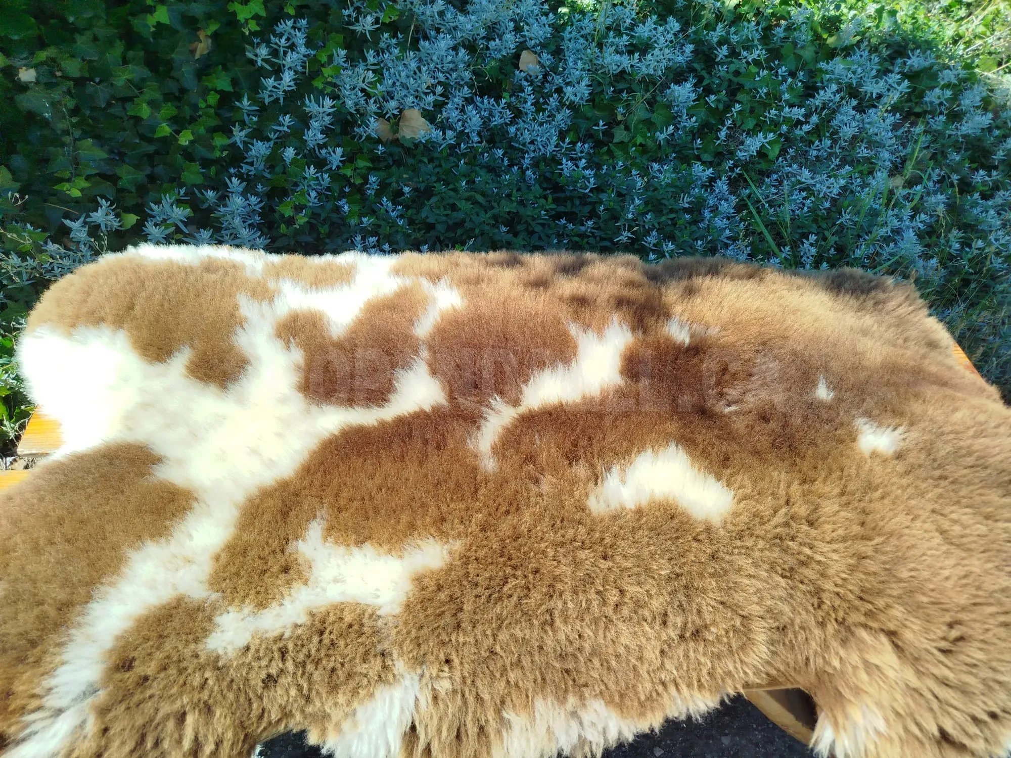 Premium Dutch Sheepskins
