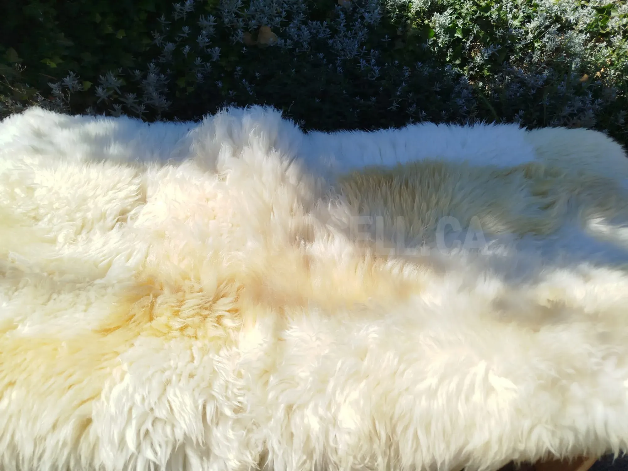 Exclusive PATCHWORK sheepskin rugs