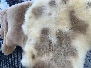 MELIERT Collection, natural sheepskins